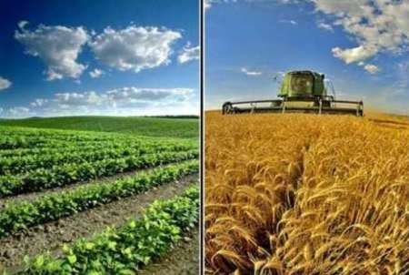 اوقاف به دنبال سرمایه‌گذاری و احیای اراضی کشاورزی موقوفه است