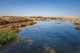 جاری شدن آب سد «رودَشتِین» اصفهان به سمت تالاب گاوخونی