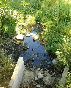 خطر نابودی سراب بلاغ حک در شهرستان شازند+تصاویر خطر نابودی سراب بلاغ حک در شهرستان شازند+تصاویر