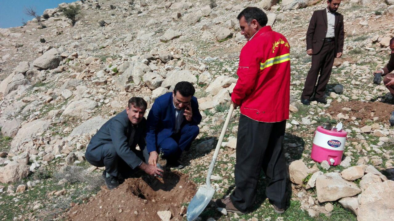 اقدام زیبای شورای اداری لنده در جهت پاسداشت آتشنشانان پلاسکو + تصاویر