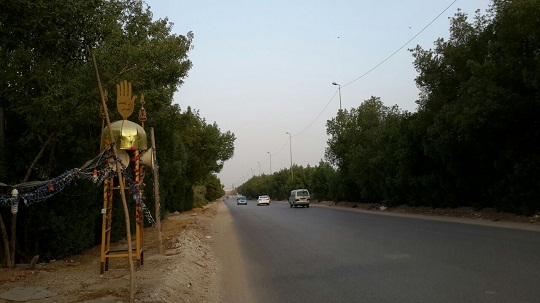 بابینندگان: نخلستان‌های بین مسجد سهله تا  مسجد کوفه +عکس