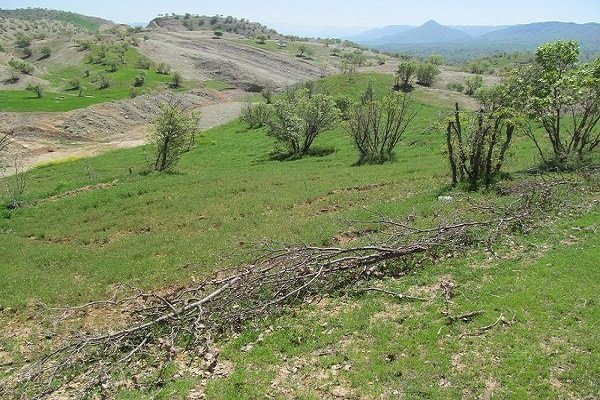 21 طرح منابع طبیعی در استان قزوین افتتاح می شود