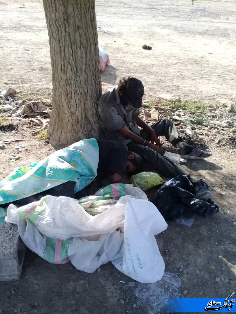 غصه قصه کارتن خواب ها