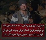 تکذیب کشف «گنج ۸۰۰ میلیاردی» توسط چوپان مشهدی