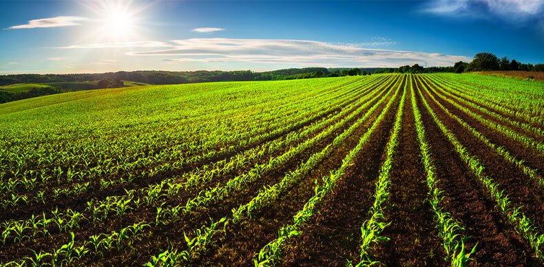 توزیع عادلانه نهادههای کشاورزی در هشت شهرستان استان توزیع عادلانه نهادههای کشاورزی در هشت شهرستان استان