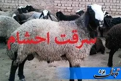دستگیری سارقان حرفه‌ای احشام در یزد